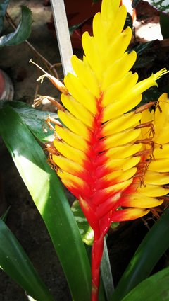 IMG_20190414_142444.jpg