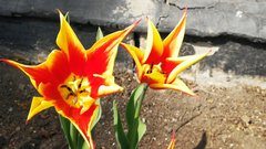 IMG_20190414_142426.jpg