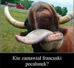 FB_IMG_1552834624059.jpg