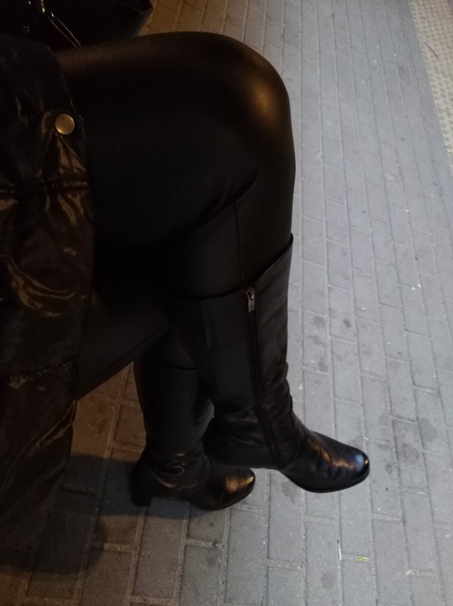 transsylwia1