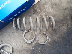 20190405_095326.jpg