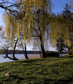 20190414_190214.jpg