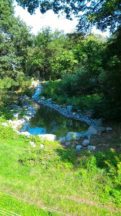 P_20160910_140427.jpg