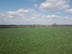 IMG_20190327_125827.jpg