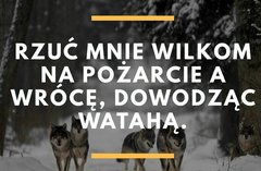 aviary-image-1555431507536.jpeg