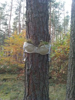 IMAG0449.jpg