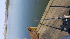 20190407_134233.jpg
