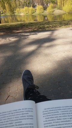 20190418_122824.jpg