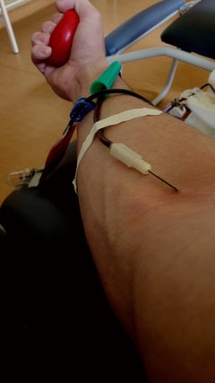 20170720_102012.jpg