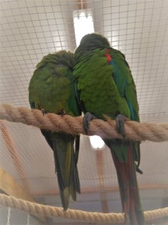 IMG_20180727_172555.jpg