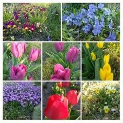 20190418_200612-COLLAGE.jpg