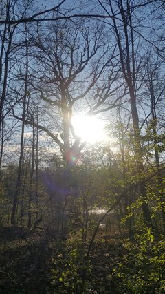 20190421_175640.jpg