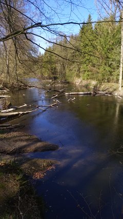 IMG_20190422_153152.jpg