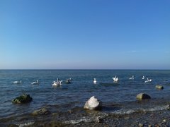 20190425_172005.jpg