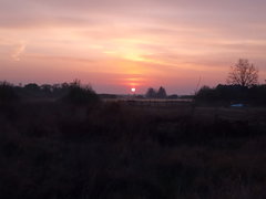 IMG_20190426_054830.jpg