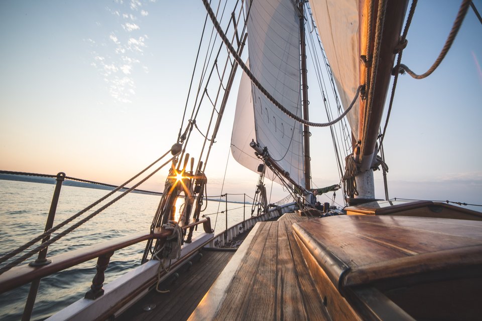 zagle.jpg - cardamooon