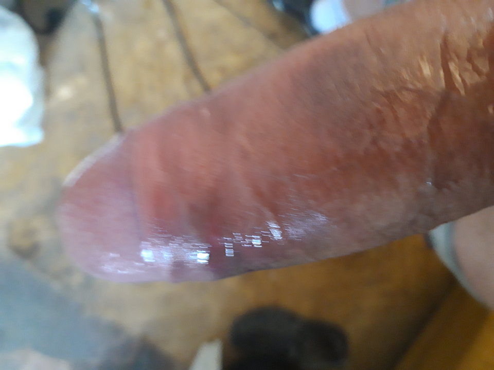 15562908284327879255439932206975.jpg - Lolek2018