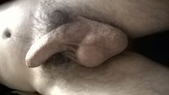 WP_20190427_17_06_19_Pro.jpg