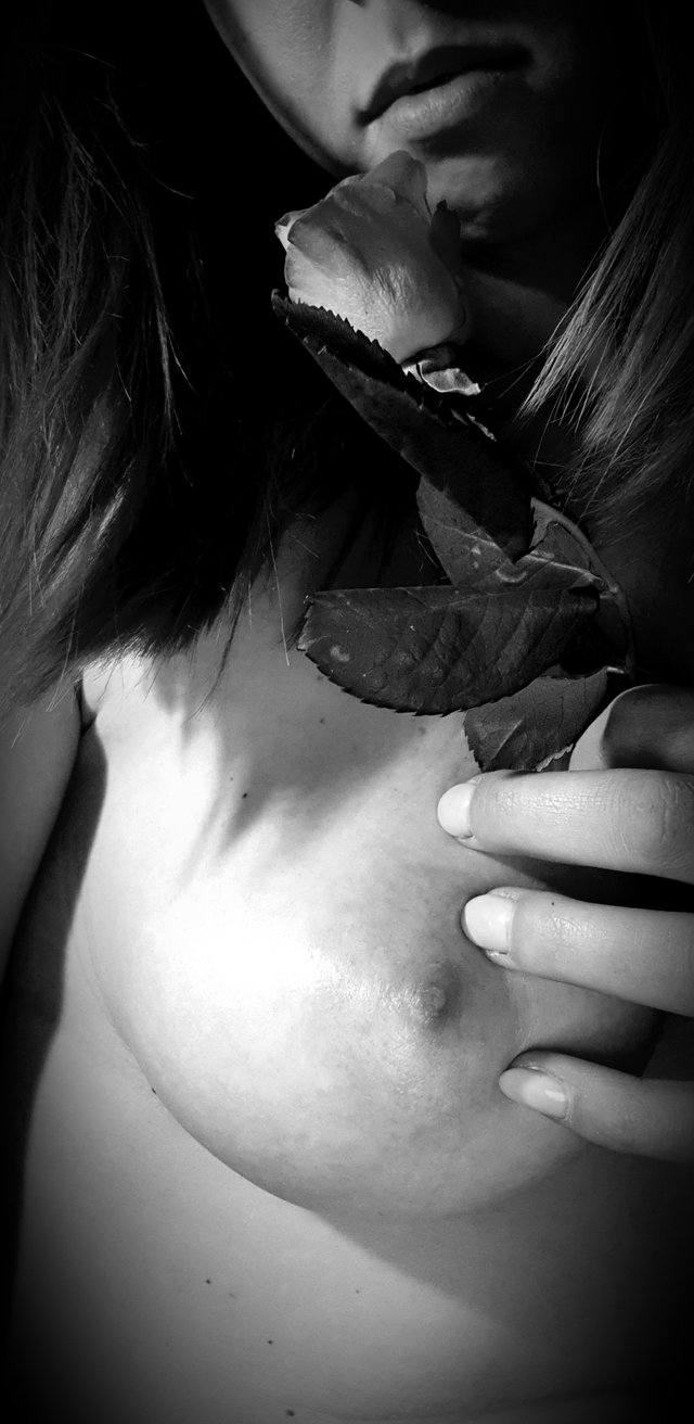 Victoria_12