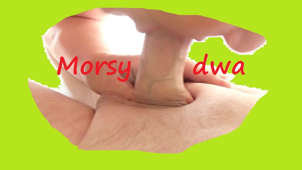 Nasza - Morsy_dwa