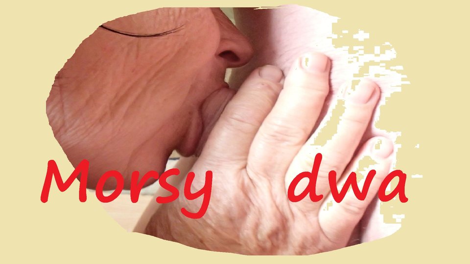 Nasza - Morsy_dwa