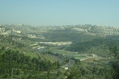 DSC01992.jpg