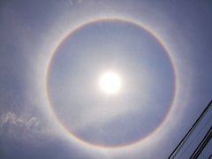 IMG_20190426_111145.jpg