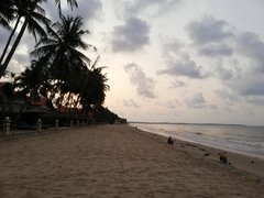 IMG_20190421_052448.jpg