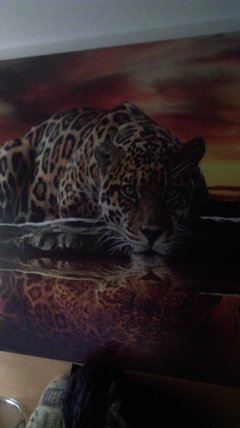 IMAG0575.jpg