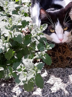 20190429_113029.jpg