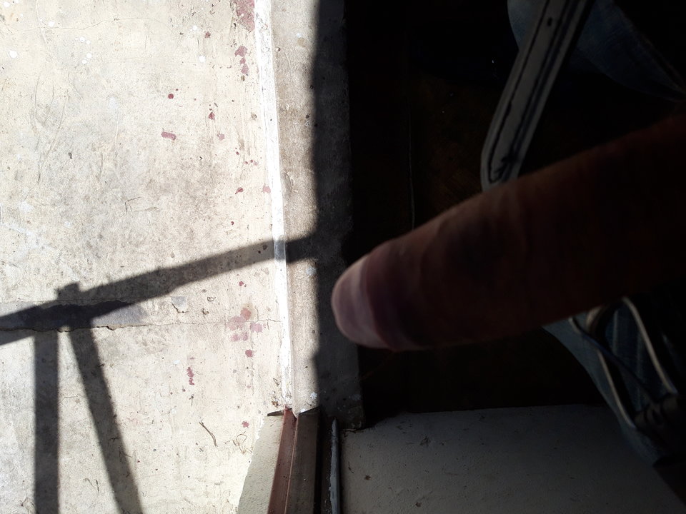 15566983172123843038996602269776.jpg - Lolek2018