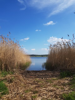 20190501_163923.jpg