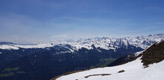 20190501_150509.jpg