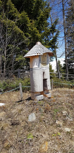 20190501_135051(0).jpg