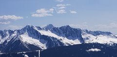 20190501_152222.jpg