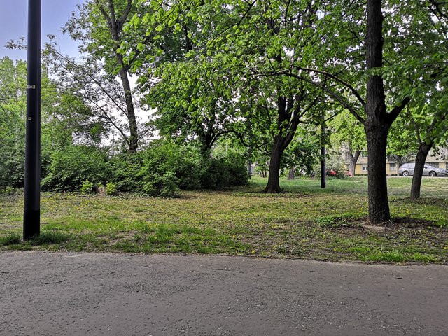 Sympatyczny991