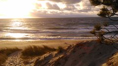 DSC_0371.JPG