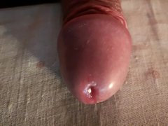 IMG_20190503_235243.jpg