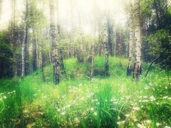 IMG_20190504_140252.jpg