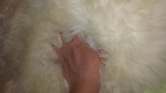 20190504_210759.jpg