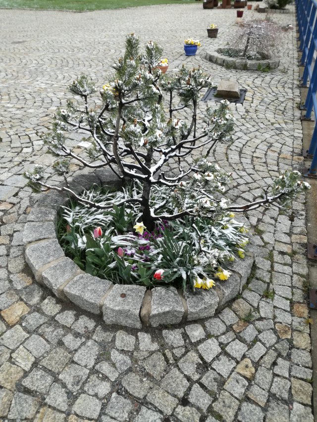 frytkipoz