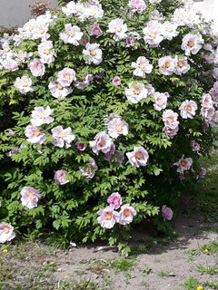 20190506_151200.jpg