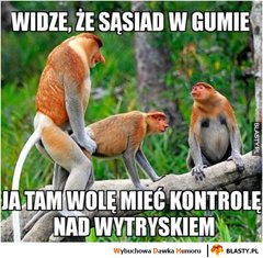 widze-ze-sasiad-w-gumie_2017-10-21_09-36-32.jpg