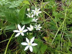 20190510_121351.jpg