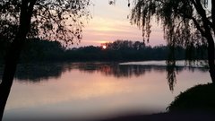 20190510_195303.jpg