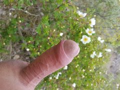 20190511_134330.jpg