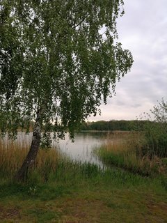 IMG_20190511_185646.jpg