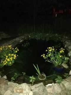 IMG_20190512_010121.jpg