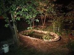 IMG_20190508_215937.jpg