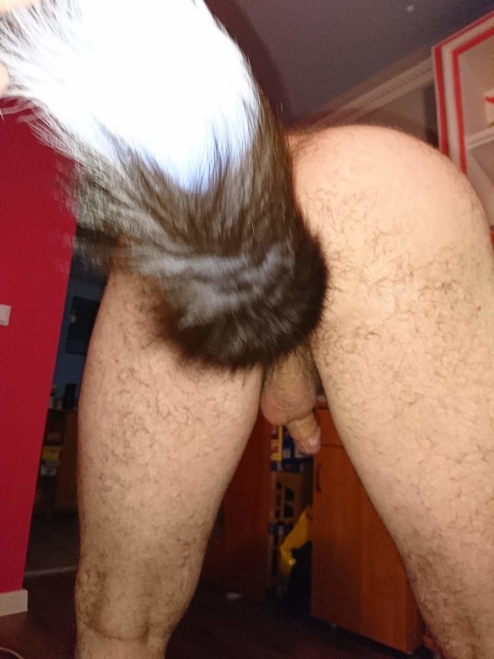 received_1540629912736558.jpeg - Misiaczek3448